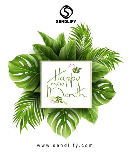 Sendlify tweet media