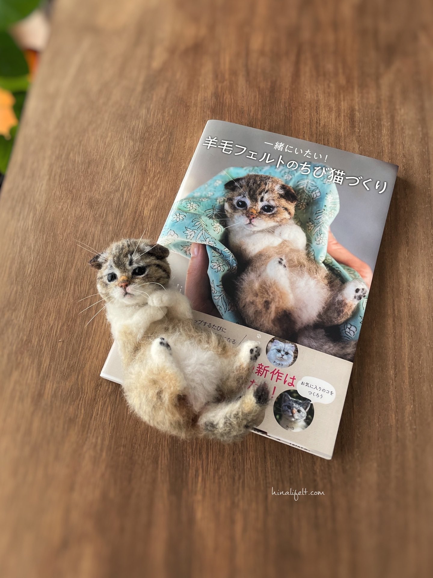 羊毛フェルト 猫 チンチラ等 オーダー受け付け