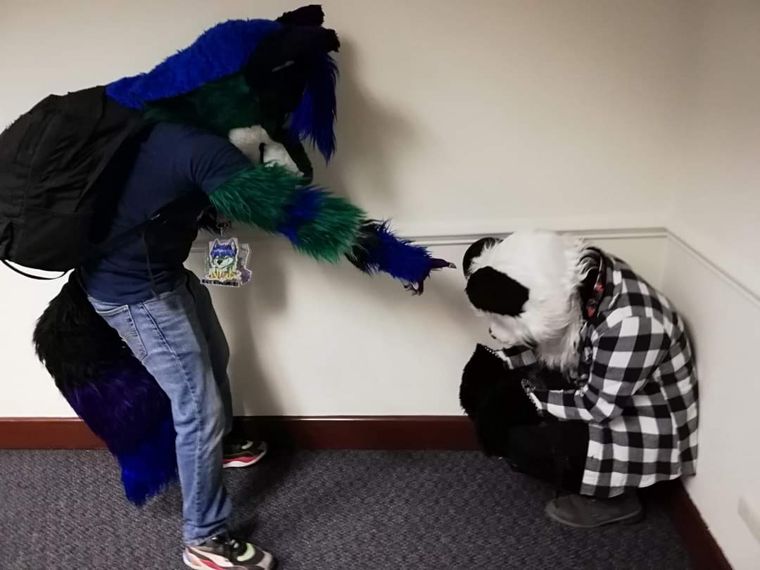 Ink_Neko04's tweet photo. Otro #FursuitFriday !! 🐼✨

A esta foto la llamo: "Ha! Miren ese morro hacia el Nico Nico Nii en la secundaria!" XD 

Foto con @Nick01Komamura x3💚 https://t.co/nEzIazALUY