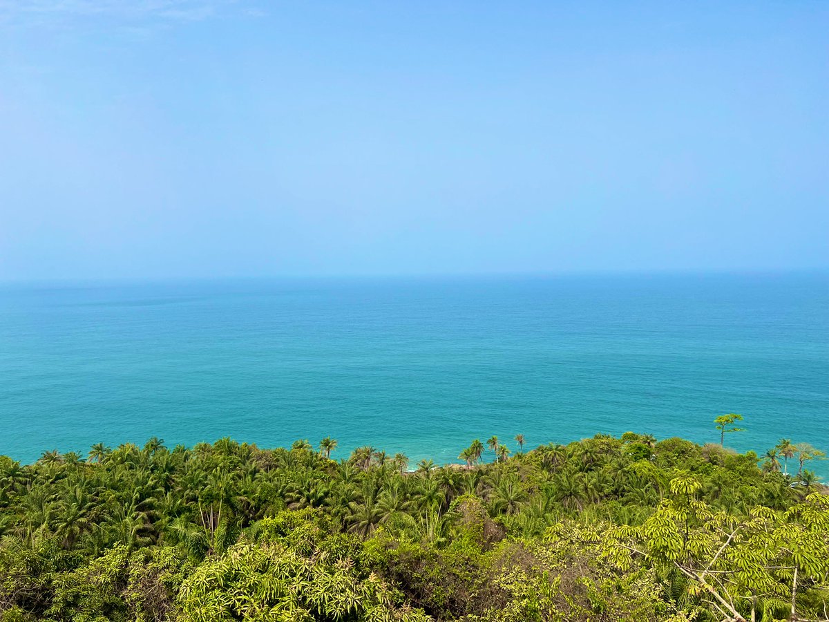 ExploreGuinee's tweet photo. Quelles activités aimeriez-vous avoir sur nos îles pour les rendre plus attirantes?
📍TAMARA ISLAND
📸 Office National du Tourisme
Suivez-nous également sur Instagram ⤵️
https://t.co/dAhqTJXRi2
#ONT #VisiterlaGuinée #ilesdeloos #DiscoverGuinea #Tourisme #Promotion https://t.co/48K5sxGvSo