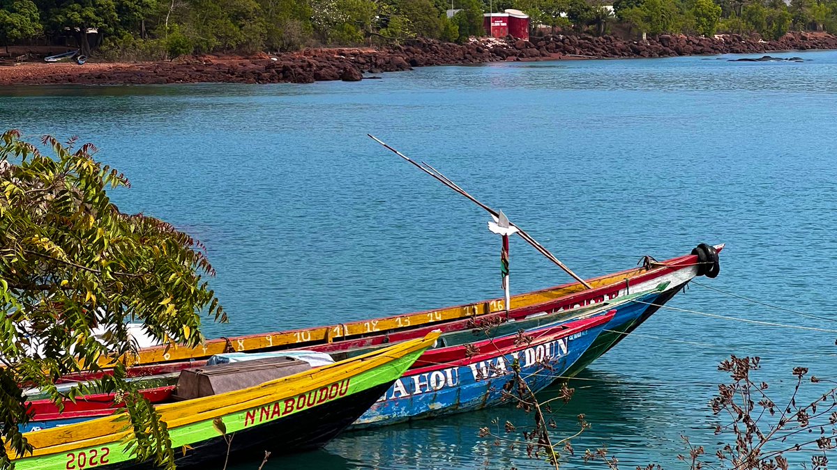 ExploreGuinee's tweet photo. Quelles activités aimeriez-vous avoir sur nos îles pour les rendre plus attirantes?
📍TAMARA ISLAND
📸 Office National du Tourisme
Suivez-nous également sur Instagram ⤵️
https://t.co/dAhqTJXRi2
#ONT #VisiterlaGuinée #ilesdeloos #DiscoverGuinea #Tourisme #Promotion https://t.co/48K5sxGvSo