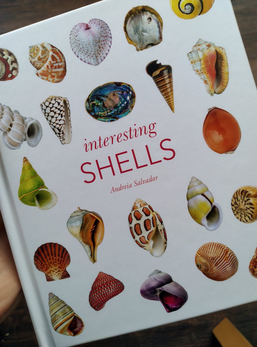 VS_Marine's tweet photo. @NHM_shells I love your new book #InterestingShells! Whenever someone comes into my office now and asks me why I work on shells I can show them your book and ask them why they don't work on shells! An absolute inspiration! Thank you!!! https://t.co/k6a66kES6x