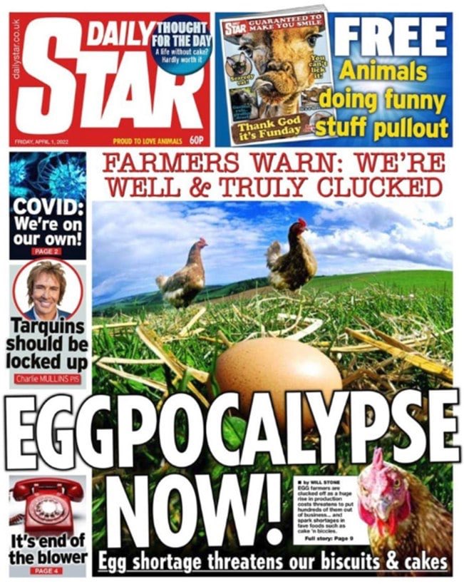 Jes_Squirrell's tweet photo. This unfortunately is no April Fool! Thank you @dailystar for highlighting this. #clucked #freerange #eggpocalypse https://t.co/gKDykAF2HR