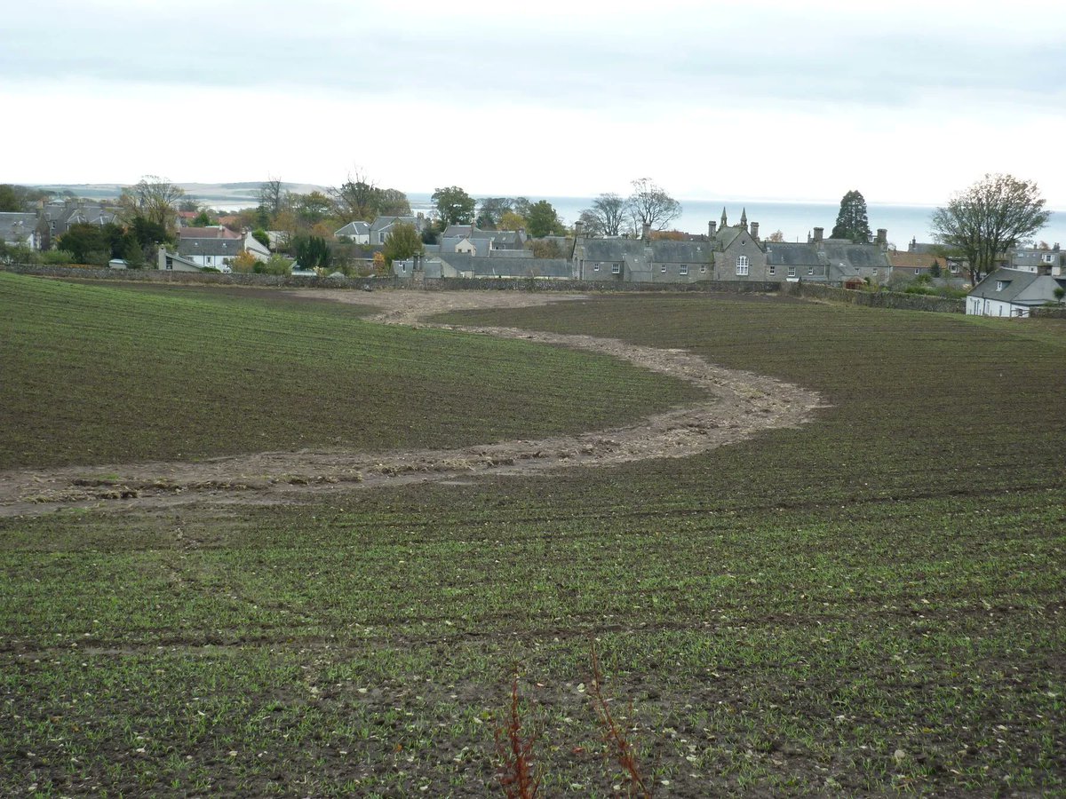A new study, led by researchers from SRUC in partnership with <a href="/JamesHuttonInst/">James Hutton Institute</a>, has found surface runoff and erosion are the principle sources of phosphorus loss in arable soils.

➡️bit.ly/3NDYmBl