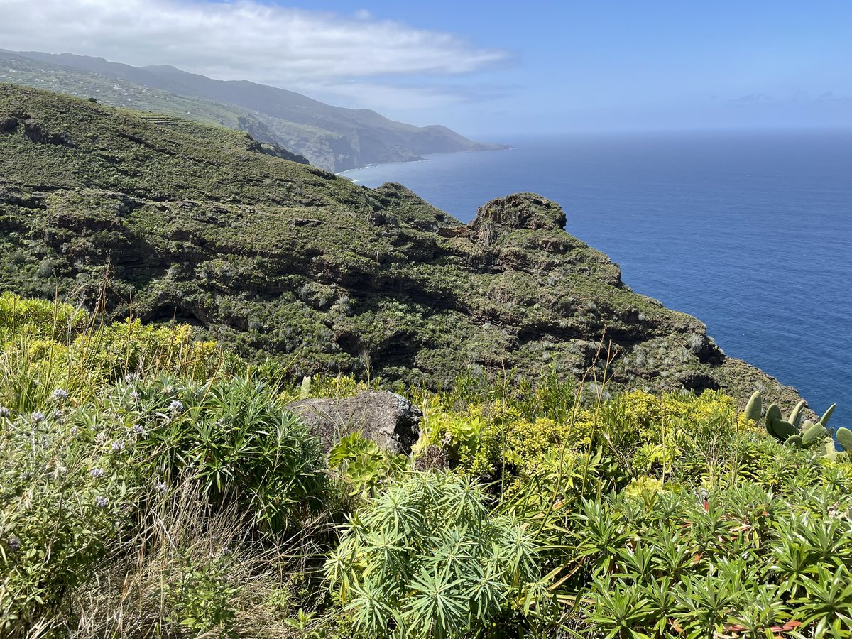 CarlatGCE's tweet photo. Back again #islabonita #islandbiogeography #happyness https://t.co/CC1G0inLCc