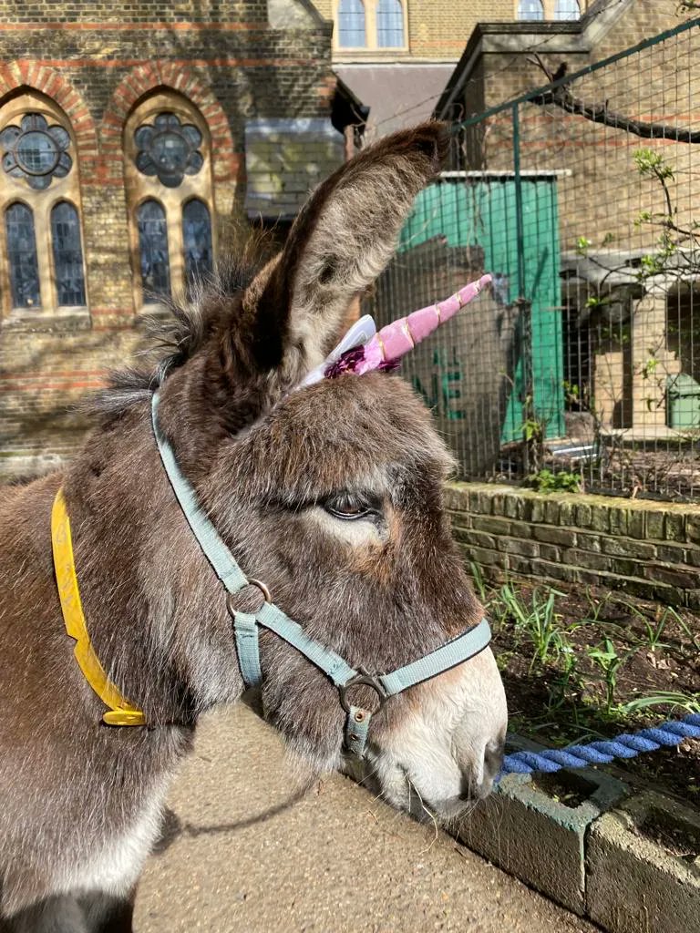 VauxhallFarm's tweet photo. Vauxhall City Farm is pleased to introduce it's two, new arrivals: unicorns Ruby & Rainbow!
Unicorns are one of the rarest animals in the world, so we're super excited to add them to our collection of rare breeds!
#unicornsofinstagram #april1st https://t.co/5IR0UMCPPV