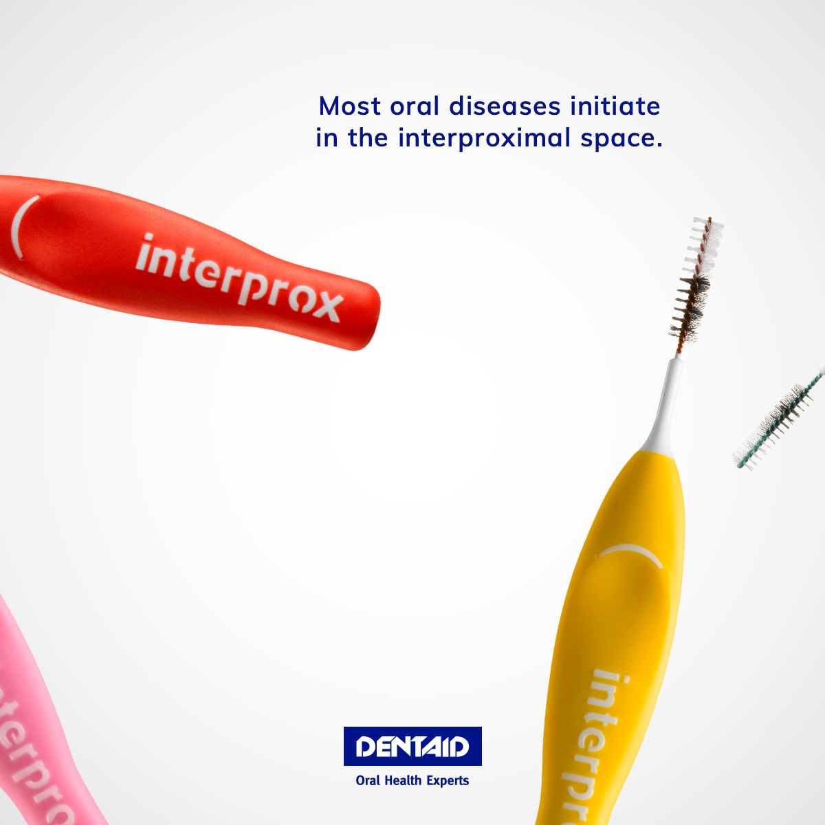 dentaid's tweet photo. Did you know that most #oral diseases originate in the #interproximal spaces? Remember that optimal interdental hygiene will not only improve your oral health but will also help prevent oral diseases that can have an impact on your general health. 👆 https://t.co/2Mng6Xwlbx https://t.co/YS3PoI57T3