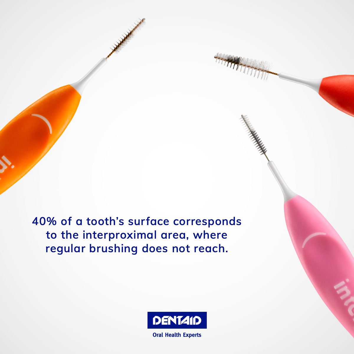 dentaid's tweet photo. Did you know that most #oral diseases originate in the #interproximal spaces? Remember that optimal interdental hygiene will not only improve your oral health but will also help prevent oral diseases that can have an impact on your general health. 👆 https://t.co/2Mng6Xwlbx https://t.co/YS3PoI57T3