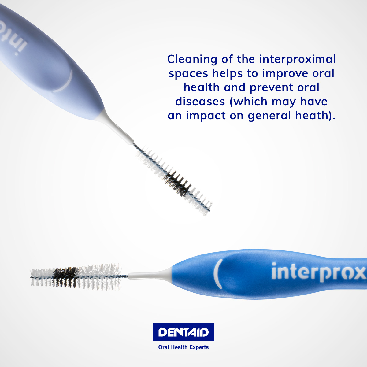 dentaid's tweet photo. Did you know that most #oral diseases originate in the #interproximal spaces? Remember that optimal interdental hygiene will not only improve your oral health but will also help prevent oral diseases that can have an impact on your general health. 👆 https://t.co/2Mng6Xwlbx https://t.co/YS3PoI57T3