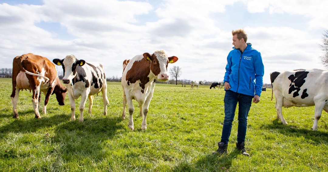 Choisissez de traire avec M²erlin : un robot fiable qui offre tout pour vous et vos vaches #milkingwithm2erlin (Traire avec M²erlin)
bit.ly/3BmhEFG