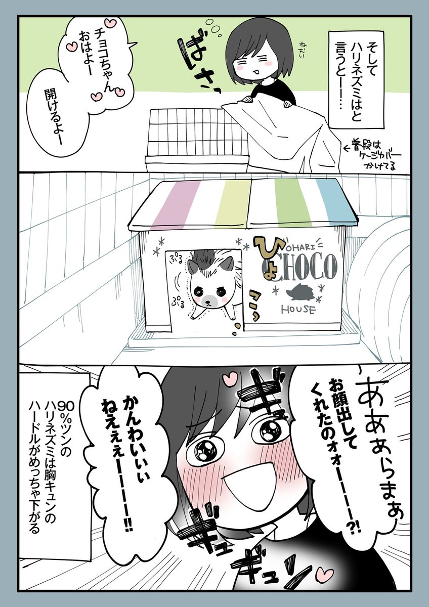 1.それぞれ甘え方が違ってかわいい

明日も17時更新🐈
#猫のいる暮らし 