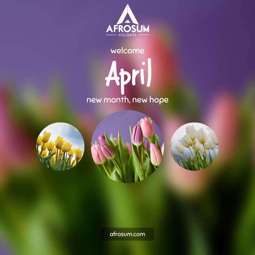 afrosumholidays's tweet photo. It has begun...!
Its hot,it's raging,it's mind blowing.
It's a month of HOT DISCOUNT for all Traveling agents.
Afrosum Holidays has done it again.
Contact us for your pleasure,leisure,and Pilgrimage Holidays to Turkey 🇹🇷
#AprilDiscount
#ChristianPilgrimage #aprilfools #travel https://t.co/800ugRf99d