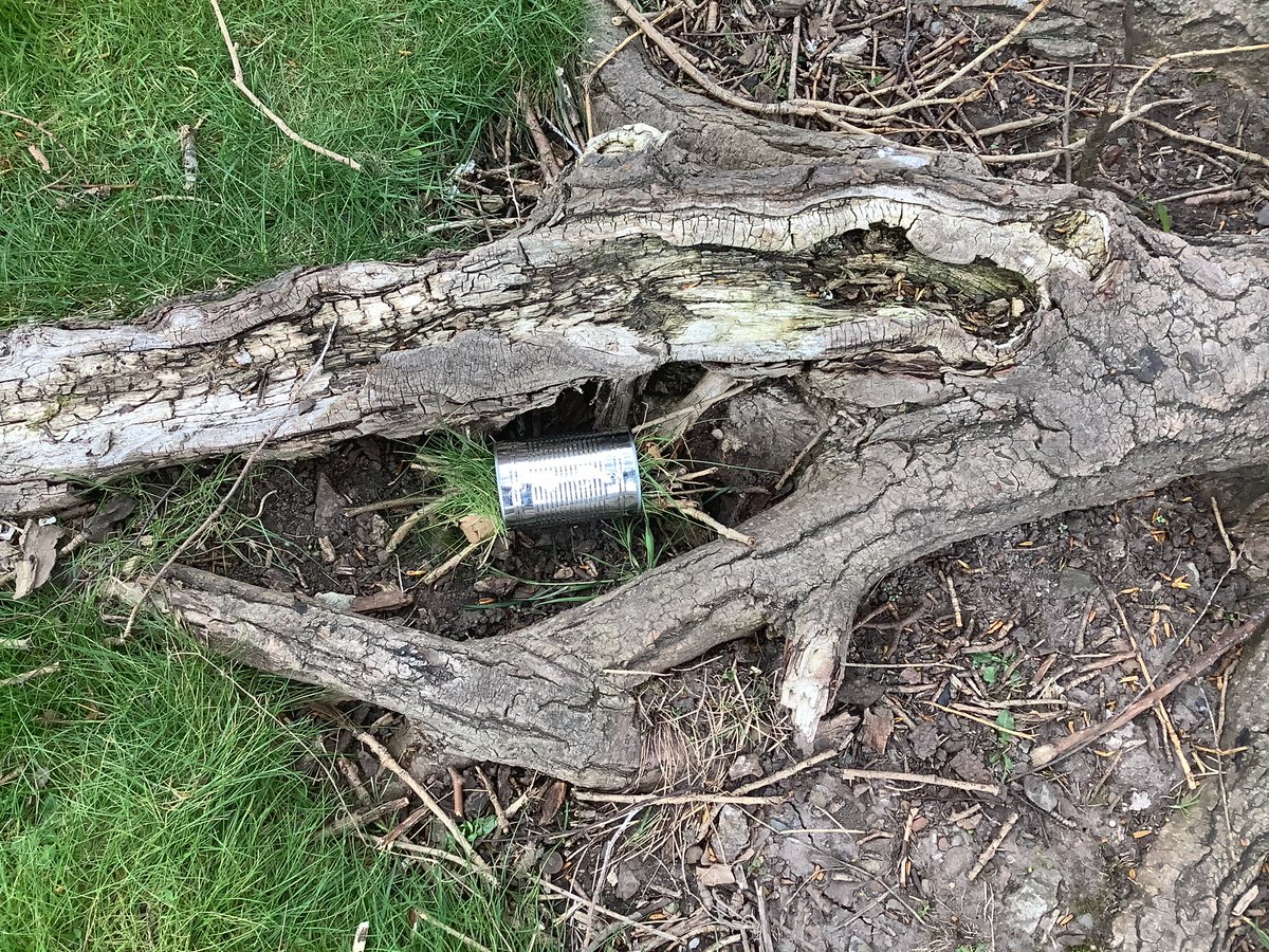 MissDuffyYear45's tweet photo. Outdoor learning club enjoying their last club session. We made bug hotels using a tin can and our natural resources 🐜🪱😆 #outdoorlearningstannes https://t.co/e6sSGSVSGy