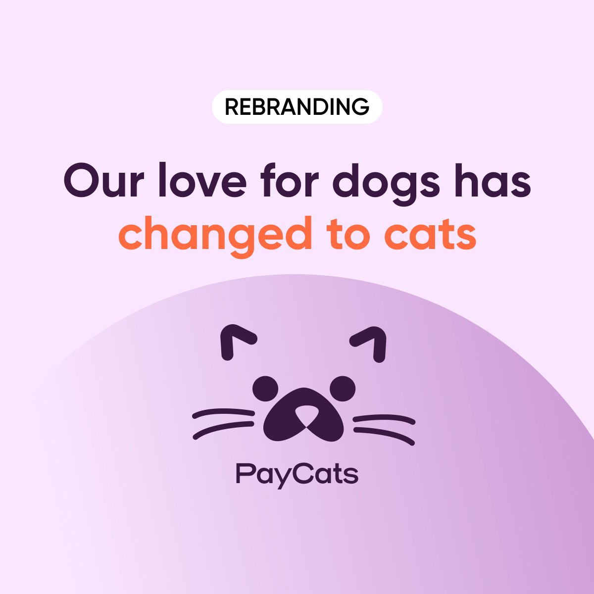 PayPugs is thrilled to announce that it is rebranding itself to PayCats.
Our love for dogs has changed to cats.🐶➡️🐱
#cats #dogs #fintech #PayCats #PayPugs #aprilfools