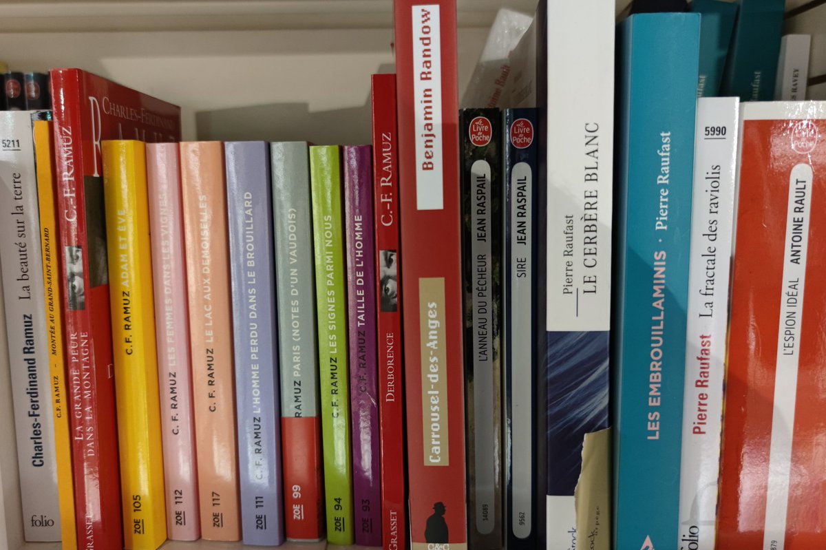 LiridonExcbz's tweet photo. En direct (ou presque) de la @fnac du forum des Halles, Paris. #Ramuz #Randow #Raspail #Raufast #Rault #Ravalec https://t.co/tj4V3T8iNQ