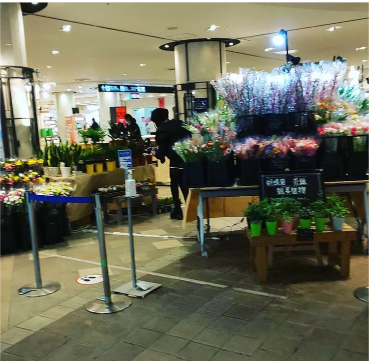 ジェルフラワー Twitter Search Twitter