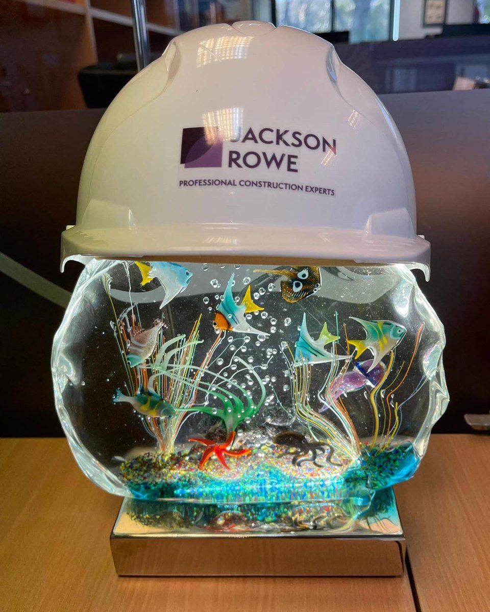JRSurveying's tweet photo. To celebrate #nationalpetmonth our Jackson Rowe companions have been busy donning their hard hats and hi-vis’s…….. https://t.co/ZYZZb4mVq5