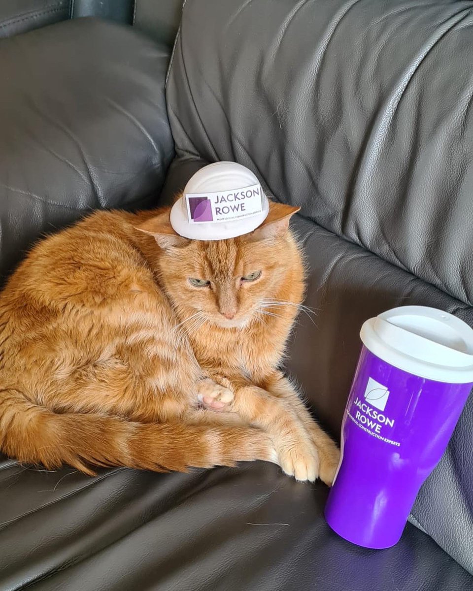 JRSurveying's tweet photo. To celebrate #nationalpetmonth our Jackson Rowe companions have been busy donning their hard hats and hi-vis’s…….. https://t.co/ZYZZb4mVq5