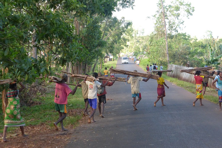 Barbed wire fences @Agnalazaha Forest #Madagascar will reduce crop loss from cows/wild pigs.  But 2 brilliant things: 1) fenceposts made from alien and fire-promoting tree Melaleuca; 2) wage give for collection of posts helps locals post-cyclone. Thanks @Darwin_Defra <a href="/chesterzoo/">Chester Zoo</a>