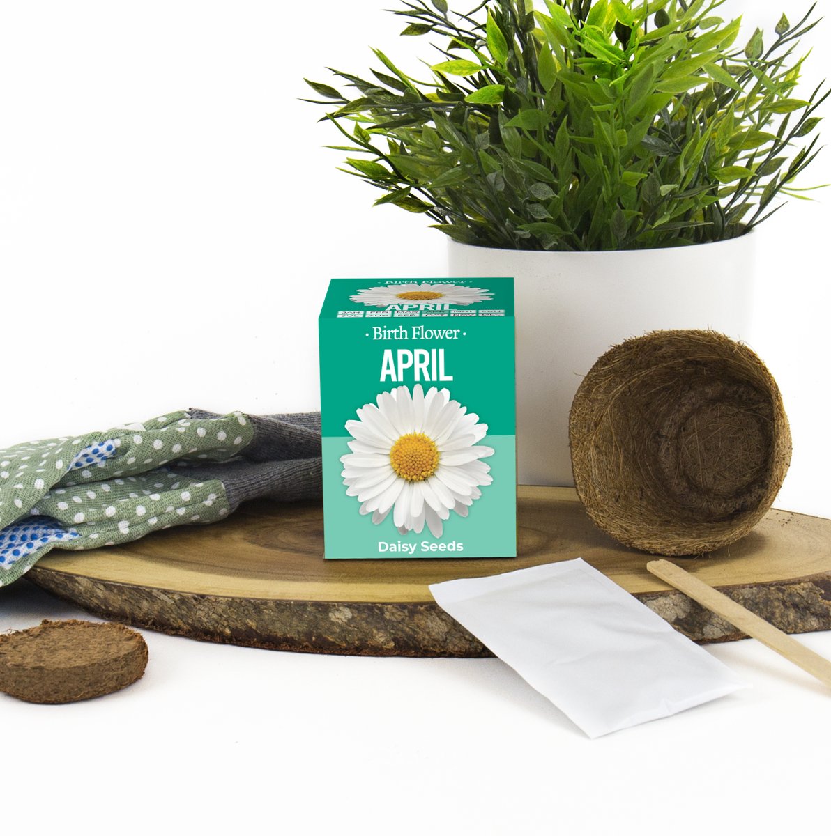 HELLO APRIL☀️🌈🌼

A special month with the birth flower of a daisy, representing innocence and gentleness.

#WelcomeApril #gifts #April #newmonth