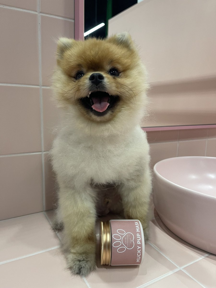 Why not give your paw-some pet the care they deserve too? 🐾 Say hello to our NEW pooch approved Mucky Pup Mask, the ultimate hair mask for your furry friend 🐶 *No animals were harmed in the making of this. Grow Gorgeous is proudly vegan friendly, PETA certified🌱