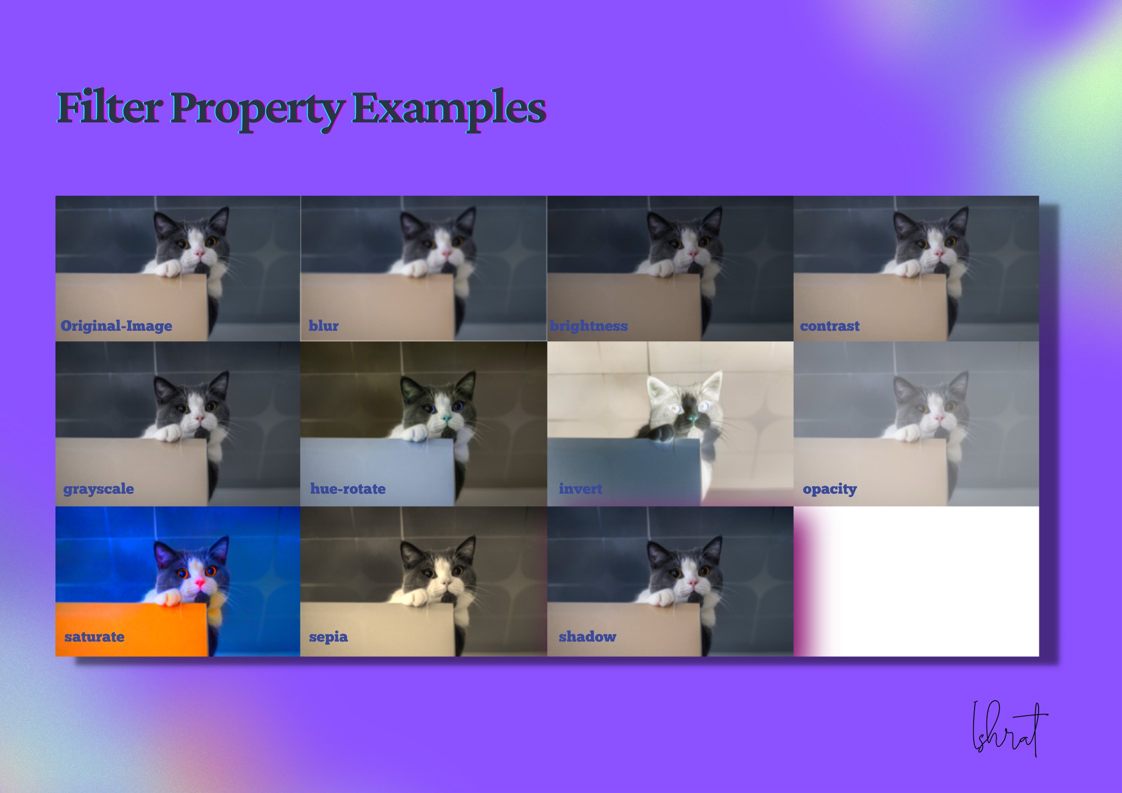 Ishrat on Twitter "💜CSS Filter Property💜 🧵👇 https//t.co/VESksI8c8I