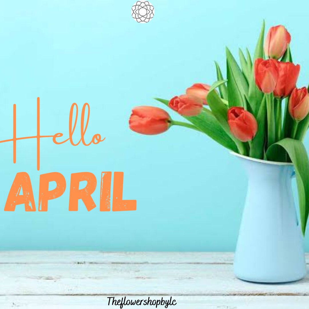 HAPPY NEW MONTH!!

May this new month bring forth ground breaking opportunities for us all ❤️

#theflowershopbylc #happynewmonth #April #freshflowers #Bridalbouquets #flowershopabuja