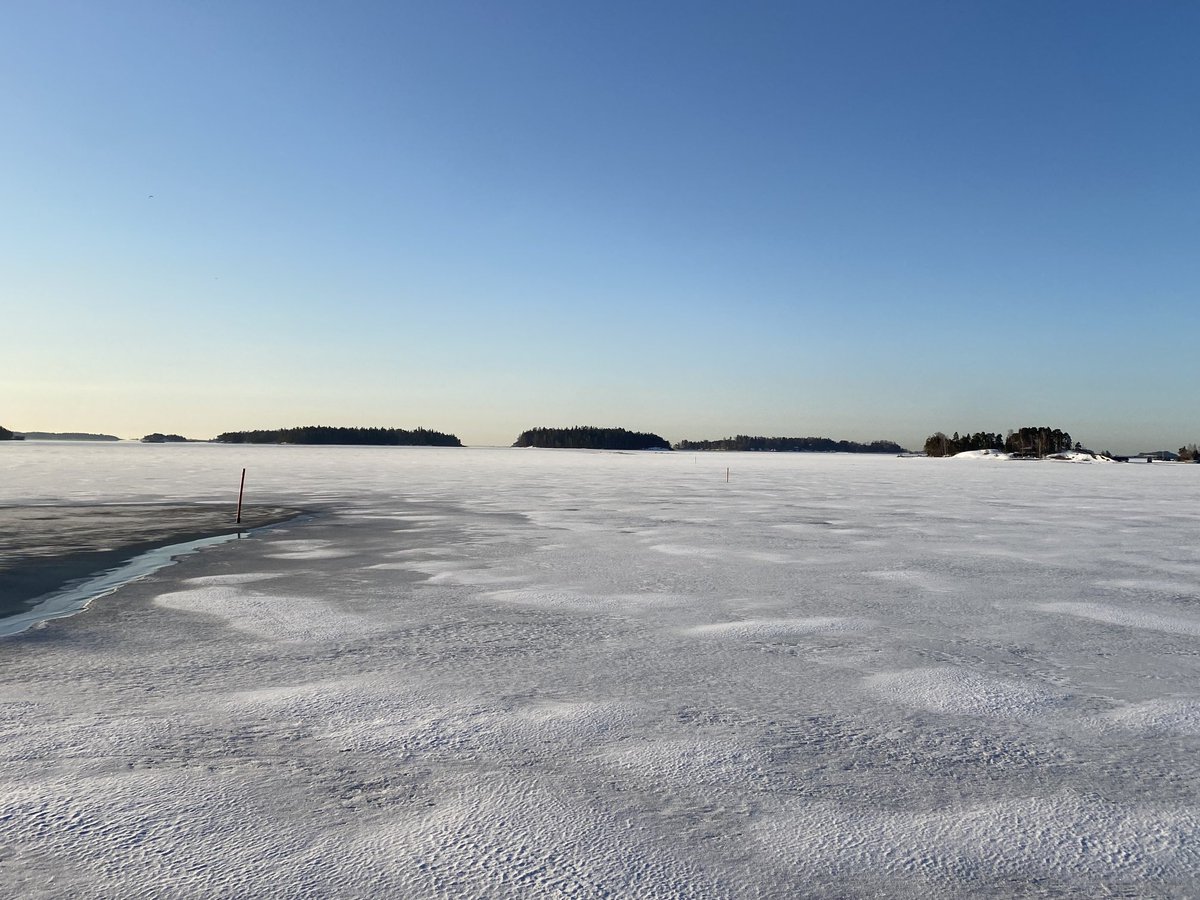 Rachel Samren tweet media