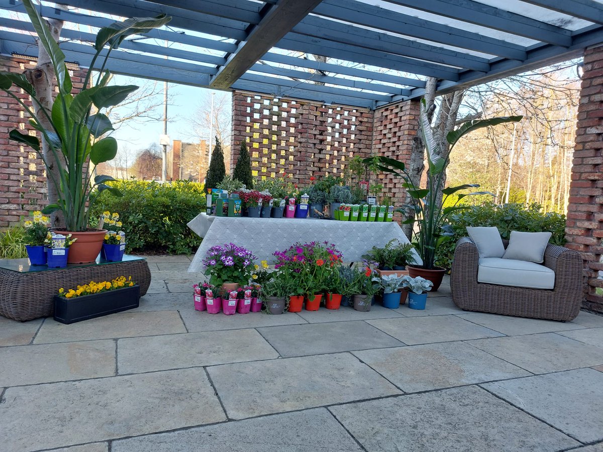 We're talking gardening with Nathan McDonell from <a href="/BallyseedyGardn/">Ballyseedy Home & Garden</a> and how to inject more colour into your garden this Spring/Summer

#IrelandAM