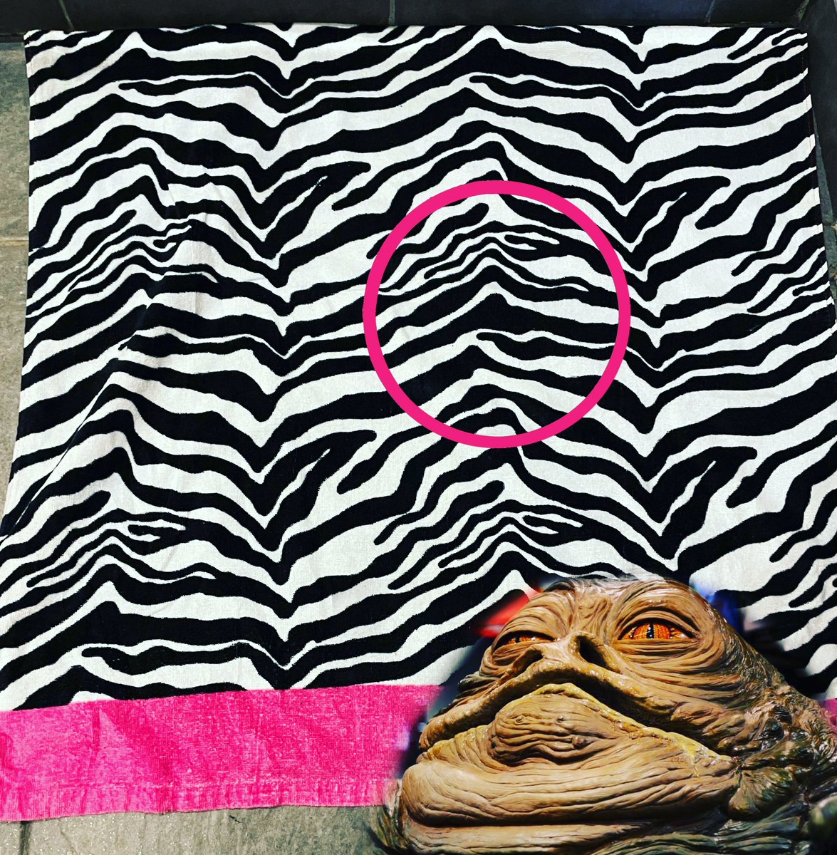 Dr Romany Reagan tweet media