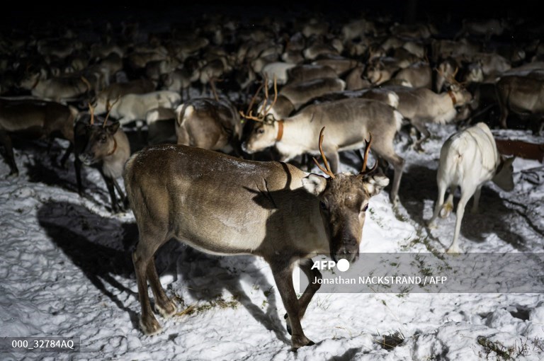 AFP Photo tweet media