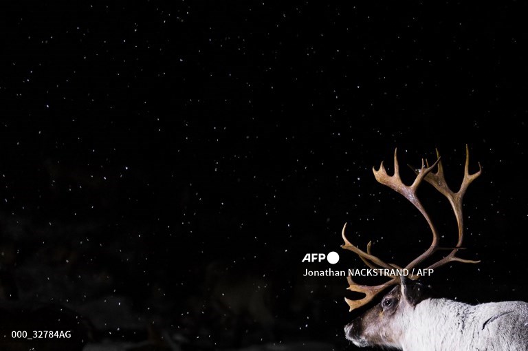 AFP Photo tweet media