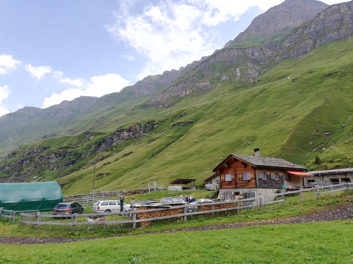 Promontagna's tweet photo. Die #Alpsaison, eine beispielhafte Tradition der Schweizer #Berggebiete, könnte in die Repräsentative Liste des immateriellen Kulturerbes der Menschheit aufgenommen werden. Die Schweiz hat eine entsprechende Kandidatur bei der #UNESCO eingereicht.
https://t.co/LVnkbToqfS https://t.co/jSswsMhRj3