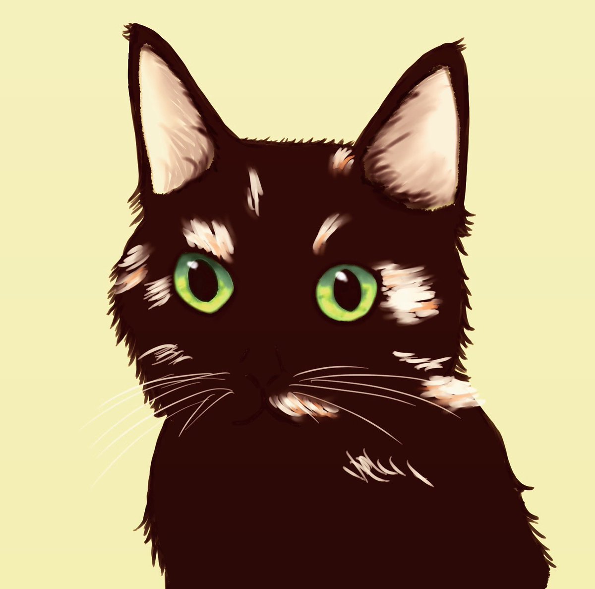 mamesuke2110's tweet photo. 今は亡き初代ネコ

#猫好きさんと繋がりたい 
#イラスト #イラスト好きな人と繋がりたい https://t.co/7Uu61sM3Og