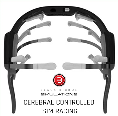 Black Ribbon Simulations tweet media