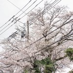 ツイートに含まれる画像