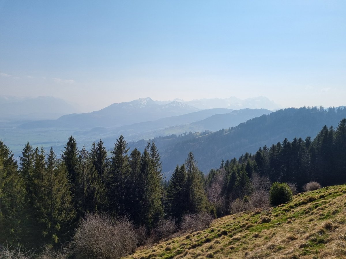 AmyandaFairy's tweet photo. Pictures from my weekend in Trogen (CH) 

#Trogen #Appenzell #mountains #Switzerland https://t.co/cRqYDe2z8v