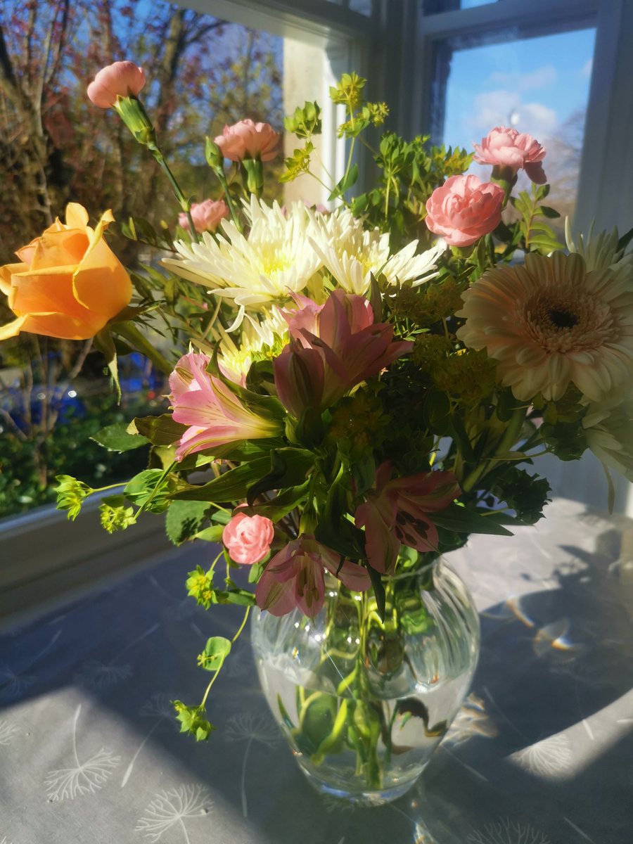 ToniBrodelle's tweet image. Thank you so much @JHQuestionTime @JHGSPolitics @JHGSHW for my beautiful flowers!

It was such a pleasure and a privilege to take part in such a brilliant event and to hear the passion and views of the student panel last night.