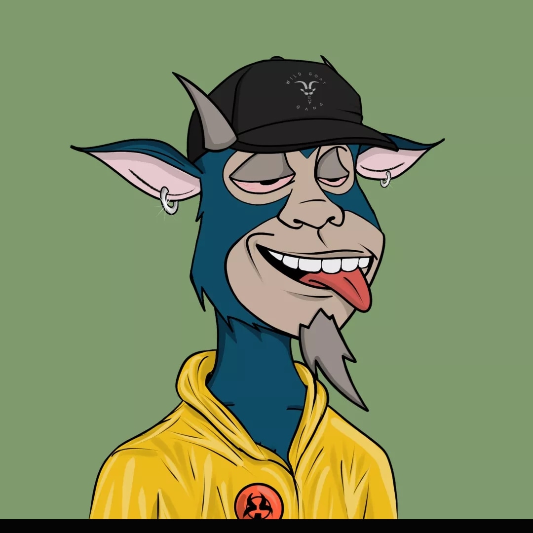 scottylee333's tweet photo. @WildGoatGangNFT https://t.co/QtulvhNDS4