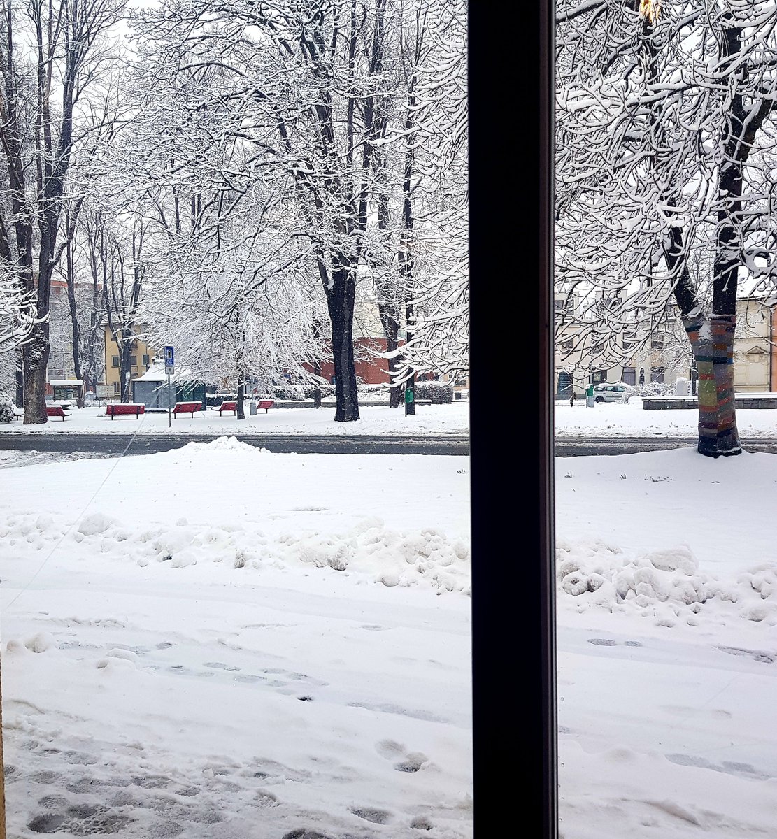 JirikovskaP's tweet photo. Já v lednu: Tu pracovní cestu do Jeseníku nechám až na jaro, třeba na začátek dubna...
Tak jistě 🙋♀️❄☃️
#Ennea #jesenik #jesenikymountains https://t.co/i2JuxHEtE4