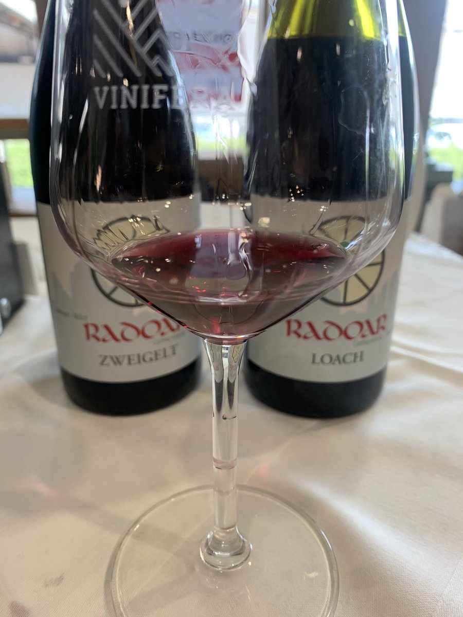 Some of my impressions from #vinifera in Trento, Italy, the #winefair dedicated to the artisanal wines of the mountains. Unique local producers were there to tell tales of passion &amp; tenacity behind the labels of their boutique wines. Read more on the blog cheerstheblog.it/2022/04/01/vin…