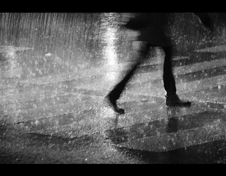 eloxis_79's tweet photo. Poison #photography #rain https://t.co/tJqqAiPd8D