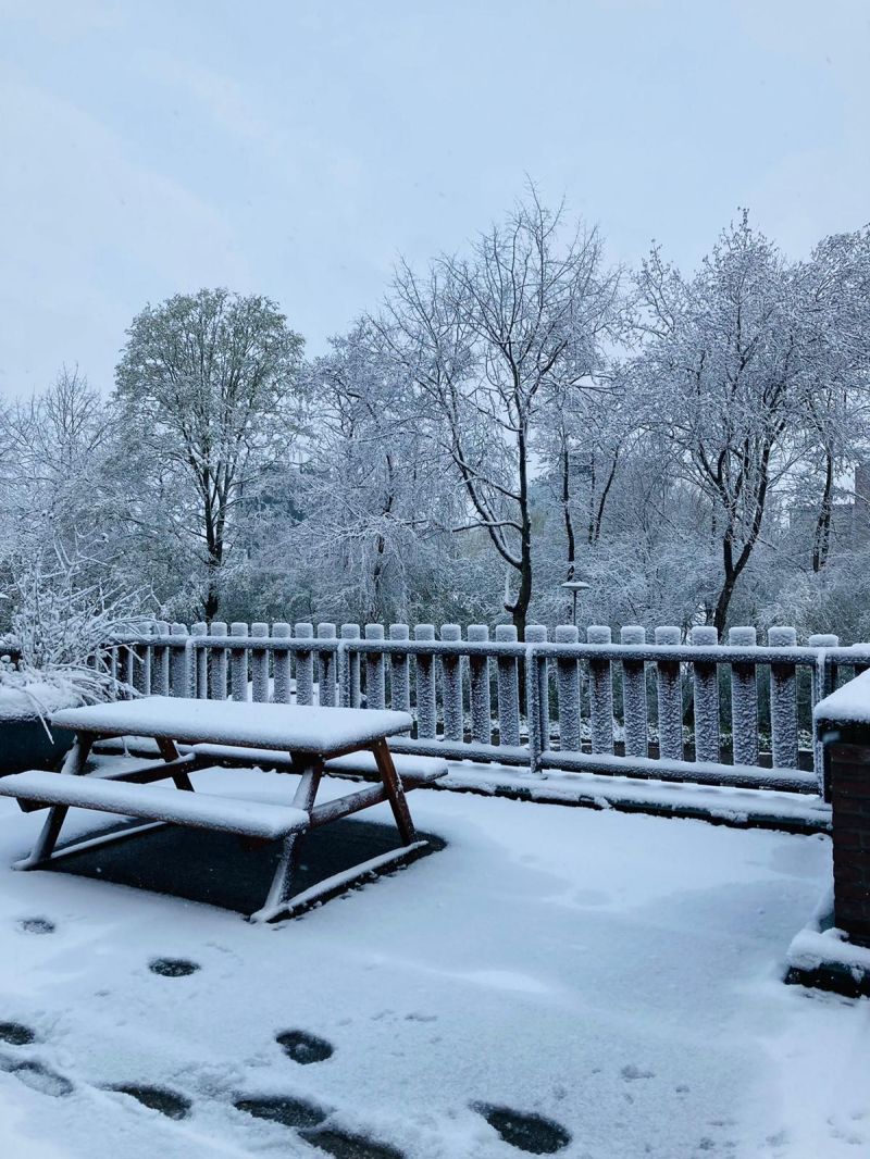 No, this is not an April Fools' Day joke! After a record dry and warm March, April starts with a white surprise in the Netherlands! But be assured of a warm #CWW2022 welcome! See you in a couple days time! Also see our latest update and CWW network app: mailchi.mp/86a7fcc8cbf5/c…