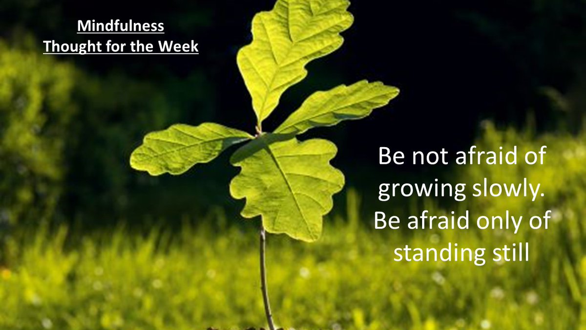 OpgsMindfulness's tweet photo. https://t.co/jlJJW5k4dM