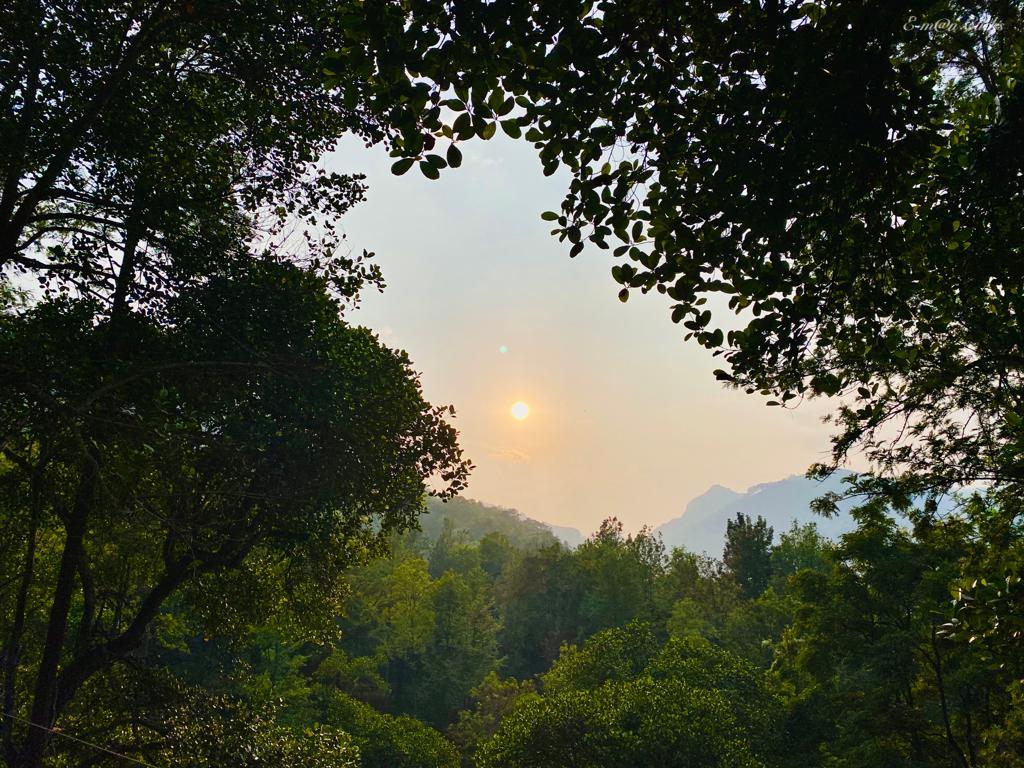 _emmanueldaniel's tweet photo. Visit to Kollikarai, Kotagiri on 30 March, 2022. 
#naturelovers #NaturePhotography #Kotagiri #forests #explorepage #happy #beautiful #summer #trip #lovefortrees #sky #waters https://t.co/6tqjvITf9E