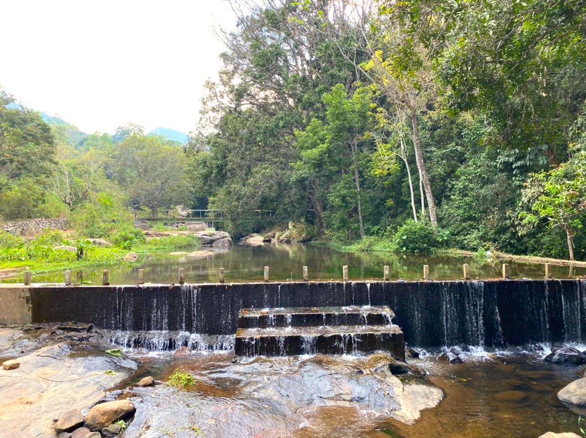 _emmanueldaniel's tweet photo. Visit to Kollikarai, Kotagiri on 30 March, 2022. 
#naturelovers #NaturePhotography #Kotagiri #forests #explorepage #happy #beautiful #summer #trip #lovefortrees #sky #waters https://t.co/6tqjvITf9E