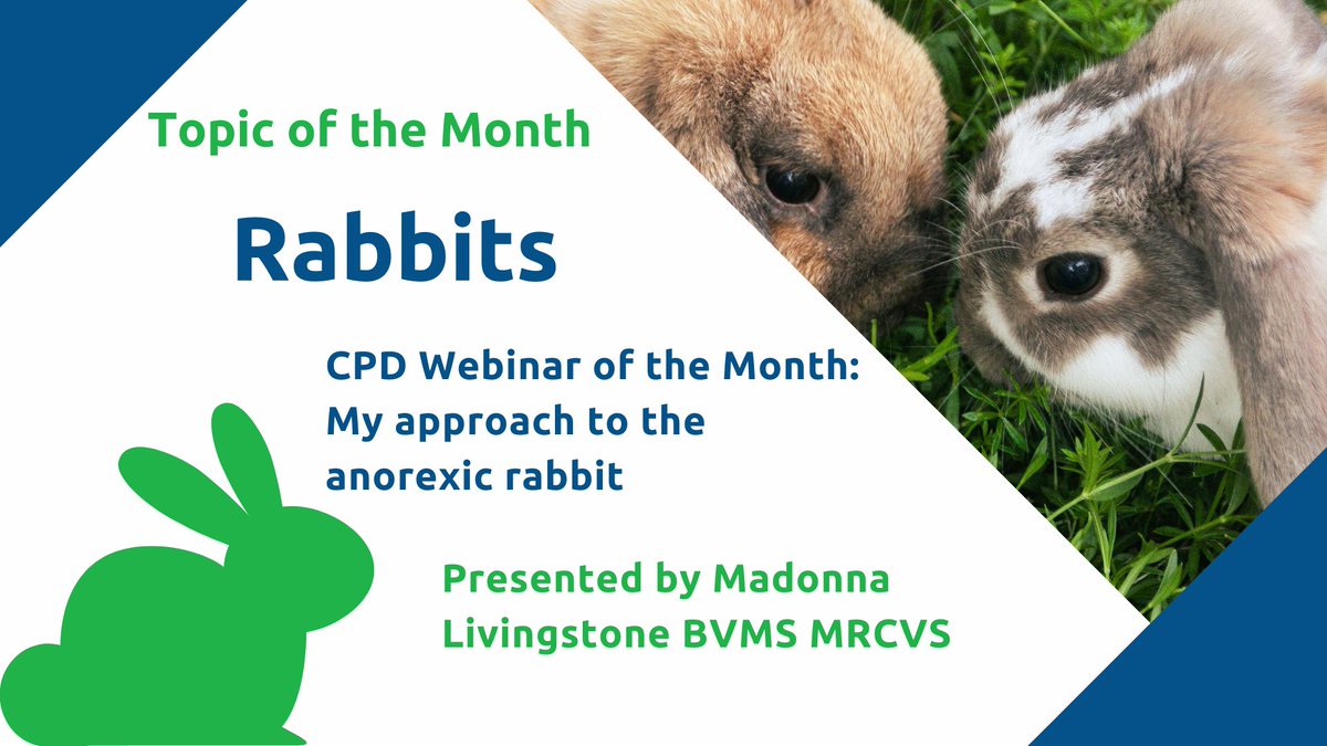 NationWideLabs's tweet photo. On the run up to #Easter we would like to invite you to our NEW display at THE Vet Exhibition, which is all about #rabbits https://t.co/PzMyygjWNQ! FREE CPD with certificate, podcast, literature library, competition with a chance to win up to 5 hours of CPD and much more. Join us https://t.co/hZTXcT2zer