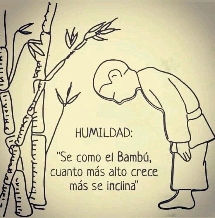 Dr_Blazquez's tweet photo. Nota del día vía @endoqui23 https://t.co/l7OoLQHssM