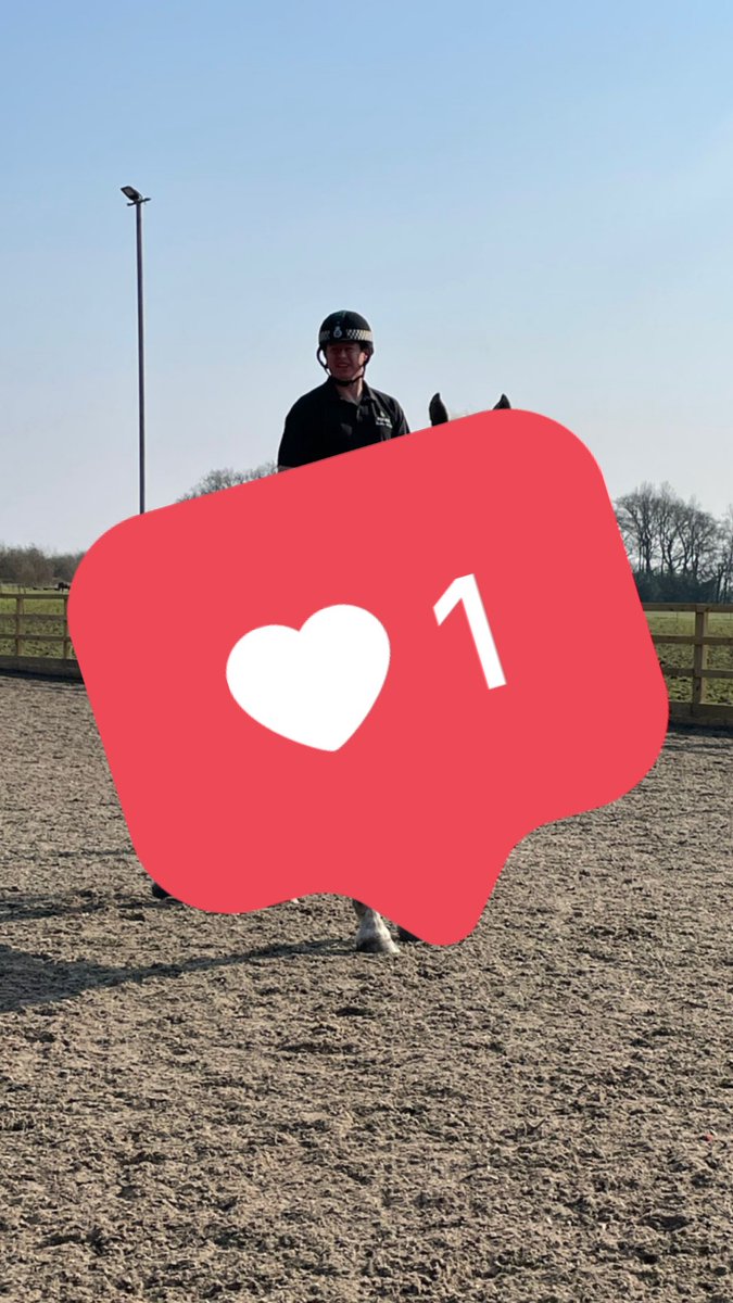 MerPolMounted's tweet photo. We have been keeping a secret from you all……….
We have a new horse and she isn’t grey!! Who wants to meet her? #StandTall #NewMerpolPH #NewHorseDay https://t.co/h9H0SUbz2v