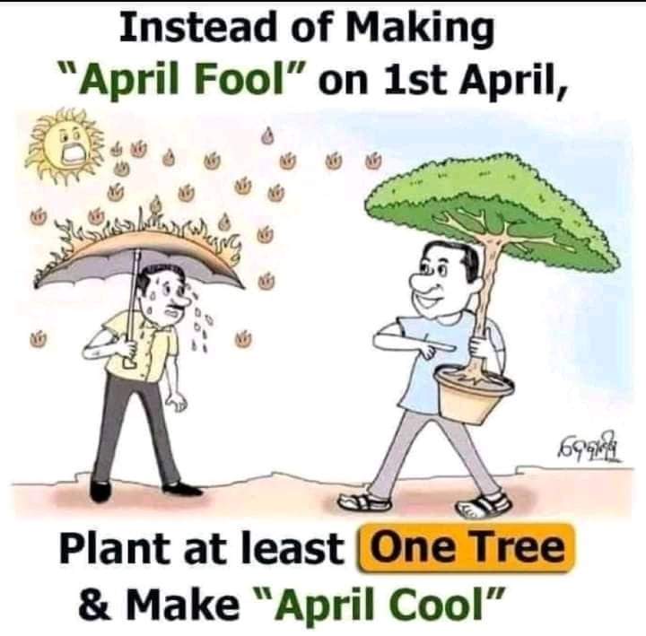 EcoVistaKE's tweet image. The true meaning of life is to plant trees, under whose shade you do not expect to sit. #FridaysForFuture